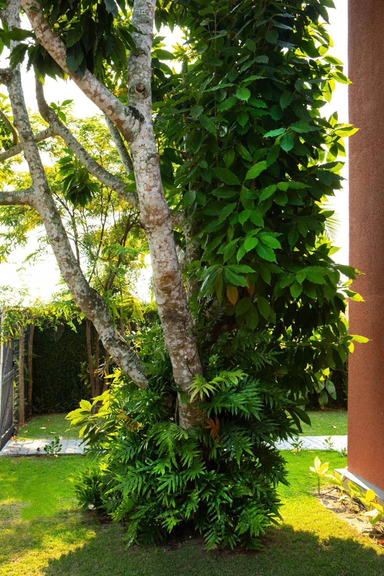 Casas Aconchegantes Com Piscina Na Encantadora Praia Das Cigarras Sao Sebastiao (Sao Paulo) Exterior foto